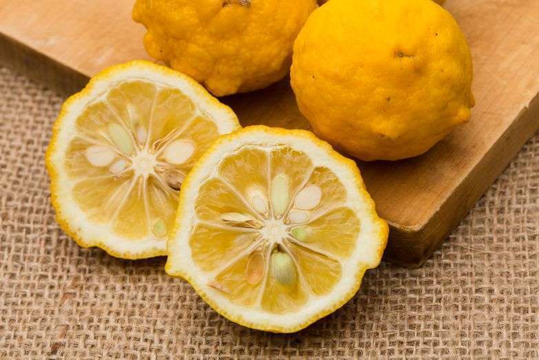 Сок юдзу (японского лимона) высоко ценится в кулинарии Страны восходящего солнца